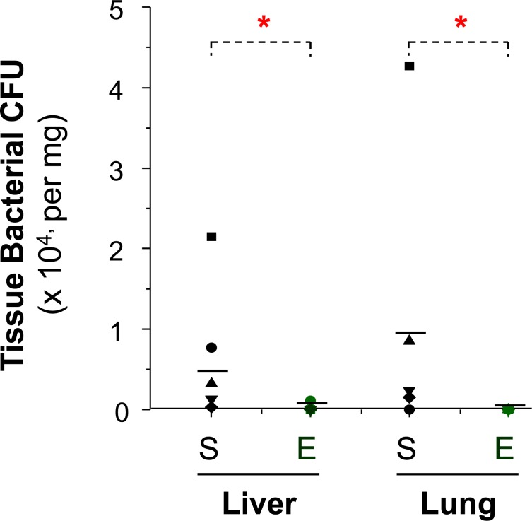 Green tea catechins quench the fluorescence of bacteria-conjugated Alexa fluor dyes.