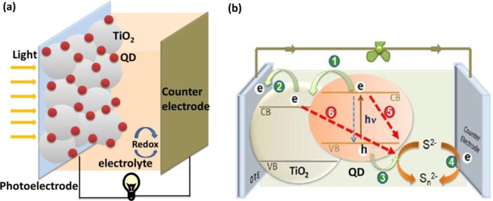 Semiconductor quantum dot-sensitized solar cells.