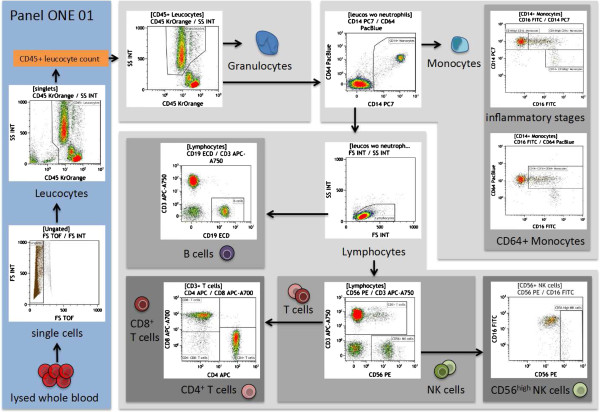 Standardization of whole blood immune phenotype monitoring for clinical trials: panels and methods from the ONE study.