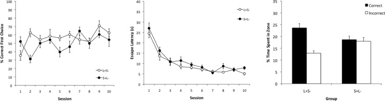 Asymmetry in the discrimination of length during spatial learning.