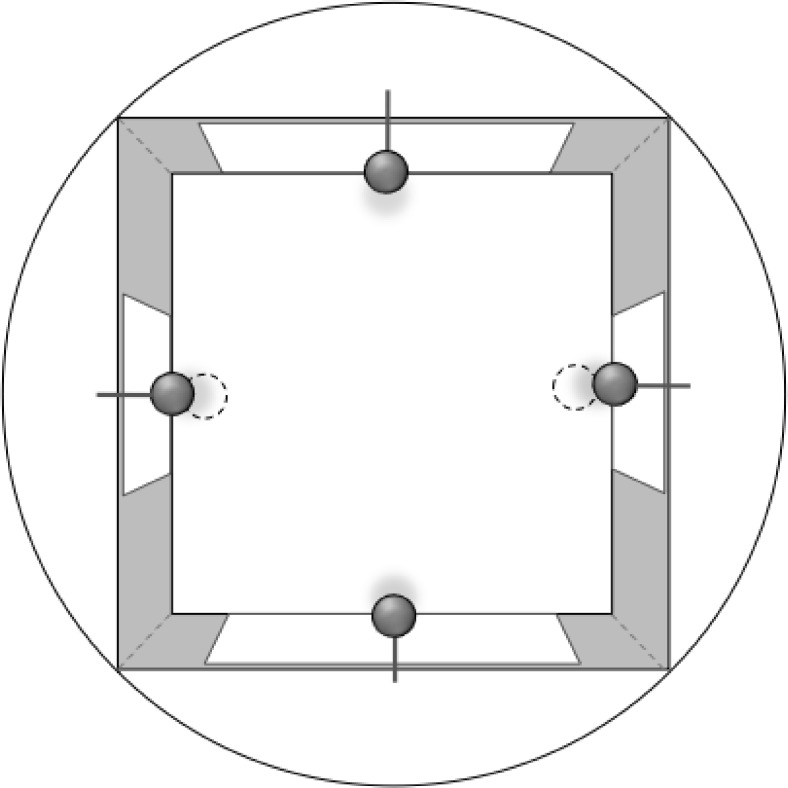 Asymmetry in the discrimination of length during spatial learning.