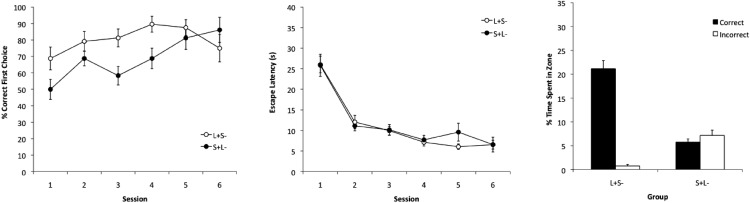 Asymmetry in the discrimination of length during spatial learning.