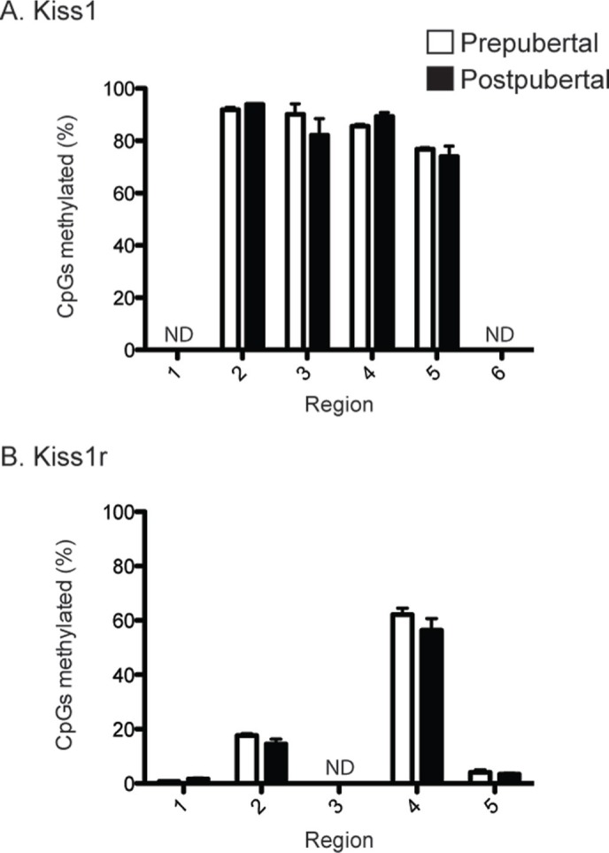 Changes in methylation patterns of kiss1 and kiss1r gene promoters across puberty.