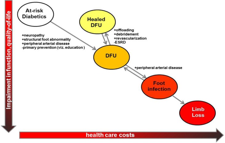 The system of care for the diabetic foot: objectives, outcomes, and opportunities.