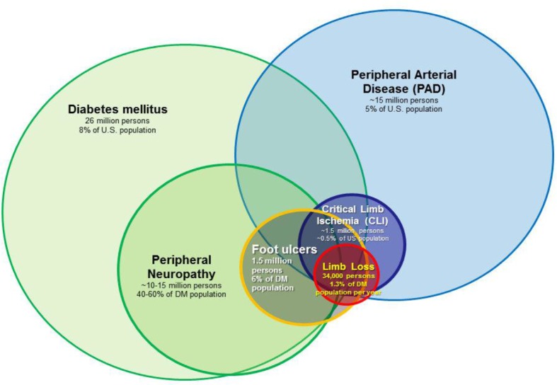 The system of care for the diabetic foot: objectives, outcomes, and opportunities.