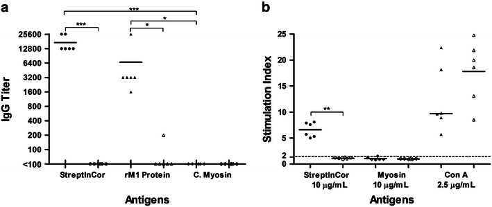 StreptInCor: a model of anti-Streptococcus pyogenes vaccine reviewed.