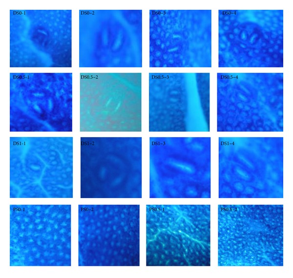 Abstract Image