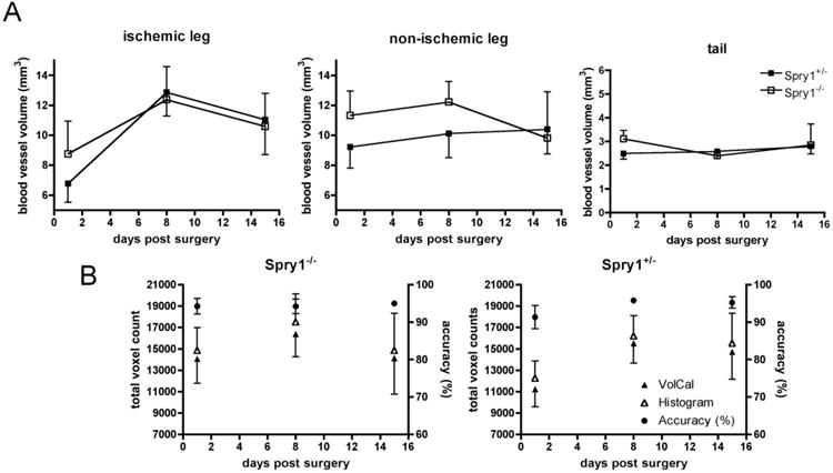 Interactive 3D Analysis of Blood Vessel Trees and Collateral Vessel Volumes in Magnetic Resonance Angiograms in the Mouse Ischemic Hindlimb Model.