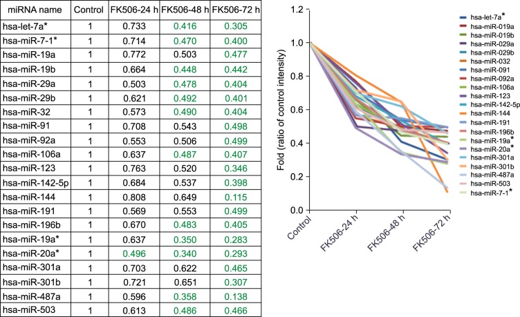 MicroRNA profiling of tacrolimus-stimulated Jurkat human T lympocytes.