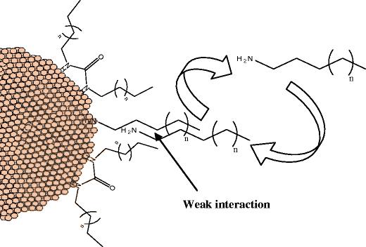 One-pot organometallic synthesis of well-controlled gold nanoparticles by gas reduction of Au(I) precursor: a spectroscopic NMR study