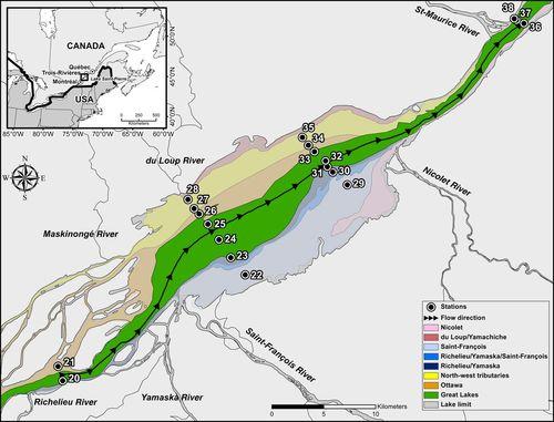 A mechanistic-based framework to understand how dissolved organic carbon is processed in a large fluvial lake