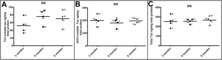 Molecular Differences and Similarities Between Alzheimer's Disease and the 5XFAD Transgenic Mouse Model of Amyloidosis.