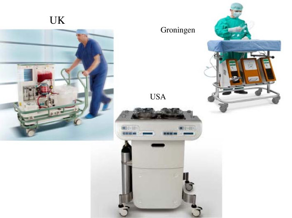 Challenges in machine perfusion preservation for liver grafts from donation after circulatory death.