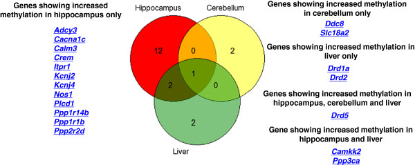 Olanzapine induced DNA methylation changes support the dopamine hypothesis of psychosis.