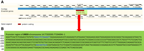 Olanzapine induced DNA methylation changes support the dopamine hypothesis of psychosis.