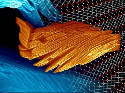 Abstract Image
