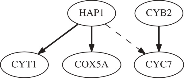 Gene regulatory network inference by point-based Gaussian approximation filters incorporating the prior information.