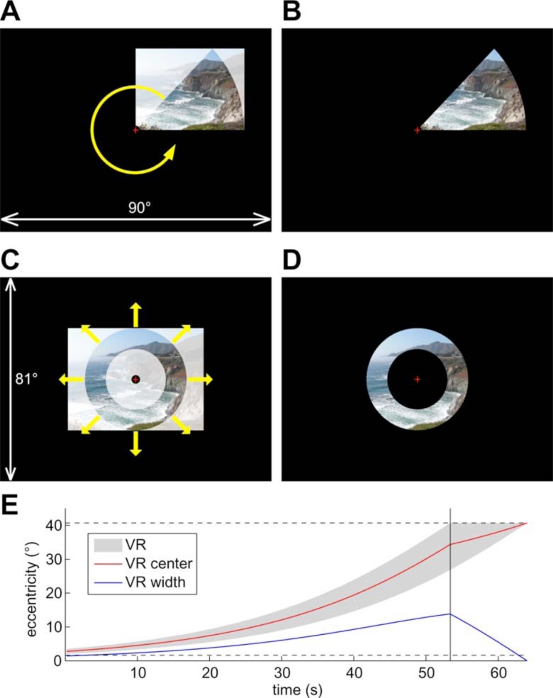 Bottom-up Retinotopic Organization Supports Top-down Mental Imagery.