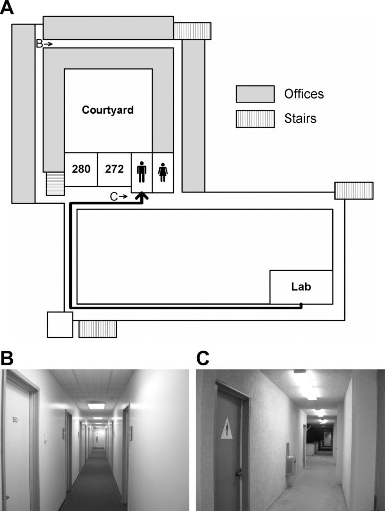 Bottom-up Retinotopic Organization Supports Top-down Mental Imagery.