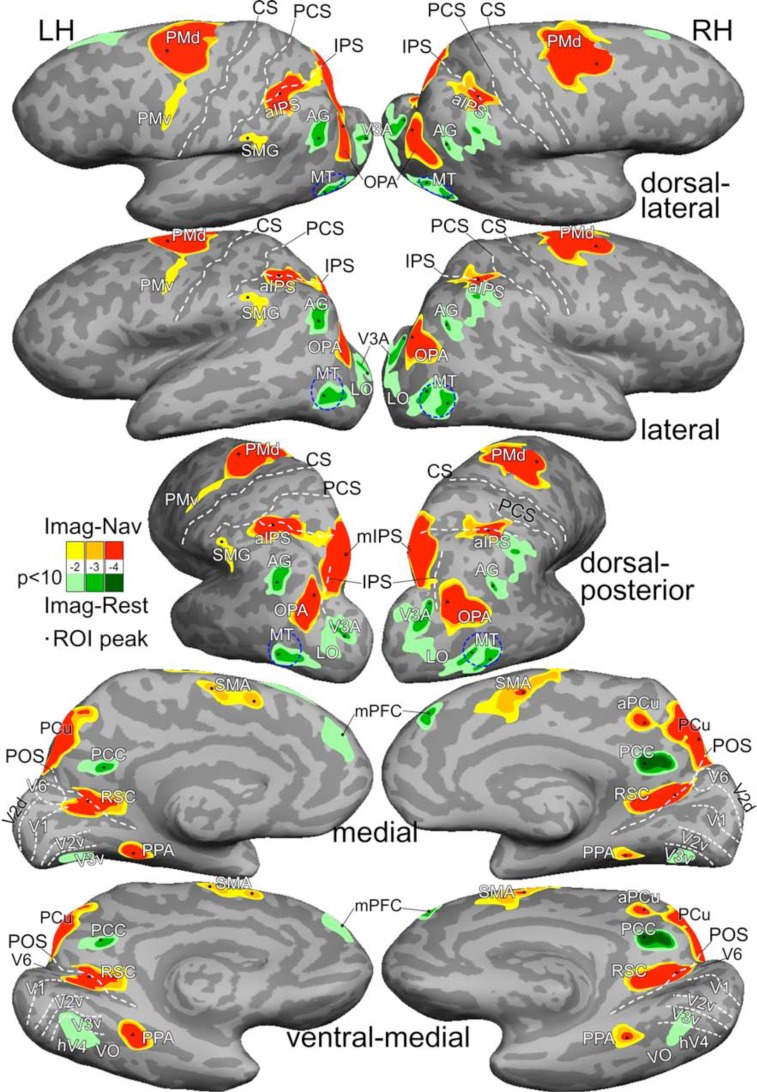 Bottom-up Retinotopic Organization Supports Top-down Mental Imagery.