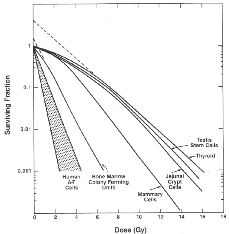 The Importance of Dosimetry Standardization in Radiobiology.