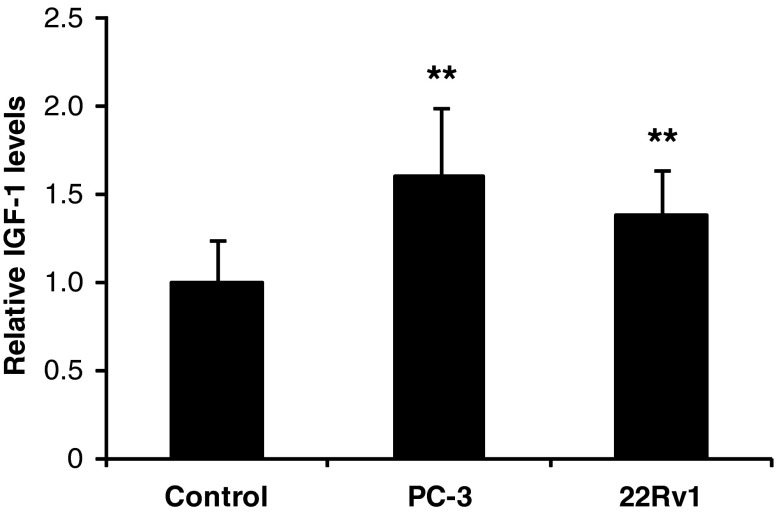 Inhibition of the insulin-like growth factor-1 receptor enhances effects of simvastatin on prostate cancer cells in co-culture with bone.