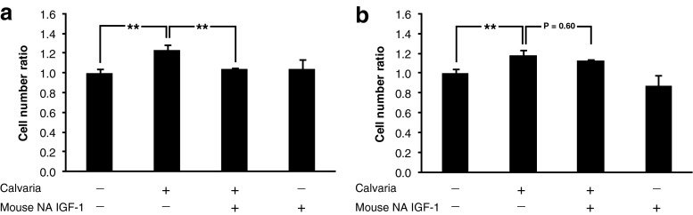 Inhibition of the insulin-like growth factor-1 receptor enhances effects of simvastatin on prostate cancer cells in co-culture with bone.