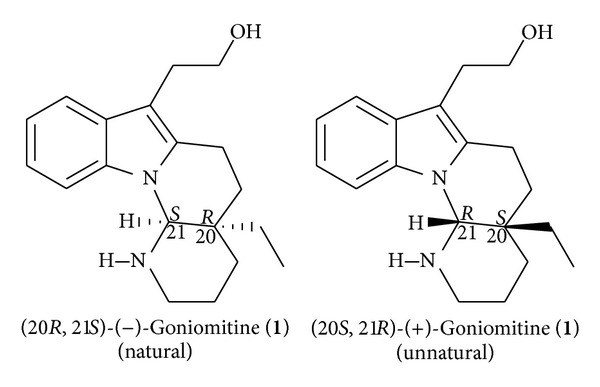 Goniomitine: an overview on the chemistry of this indole alkaloid.