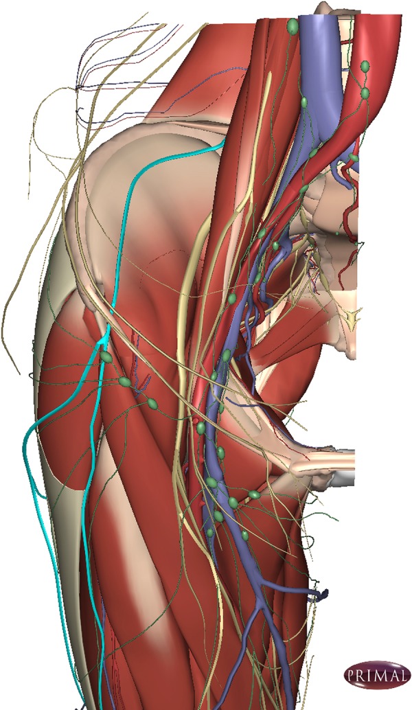 Clinical effectiveness of electroacupuncture in meralgia paraesthetica: a case series.