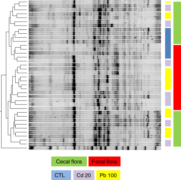 Ecotoxicology inside the gut: impact of heavy metals on the mouse microbiome.