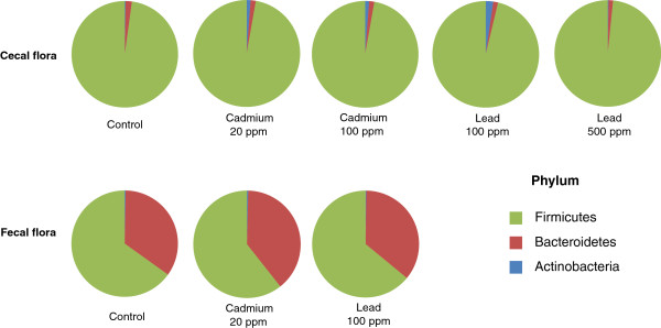 Ecotoxicology inside the gut: impact of heavy metals on the mouse microbiome.