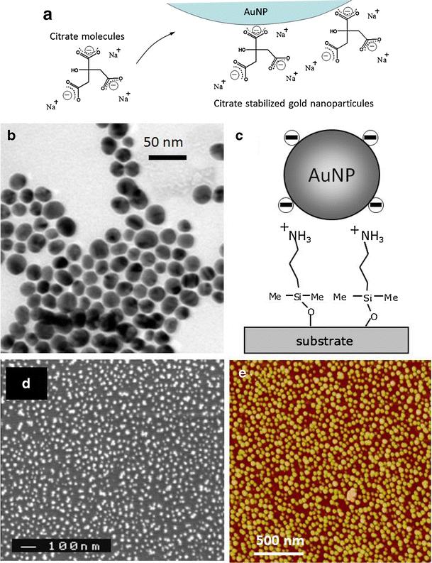 Nanostructured and nanopatterned gold surfaces: application to the surface-enhanced Raman spectroscopy