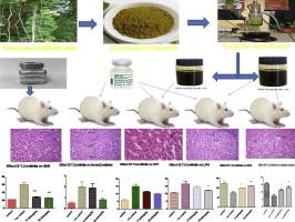 Nephroprotector activity of hydro alcoholic extract of Tinospora cordifolia roots on cisplatin induced nephrotoxicity in rats