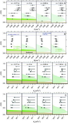 The role of hydrodynamics in structuring in situ ammonium uptake within a submerged macrophyte community