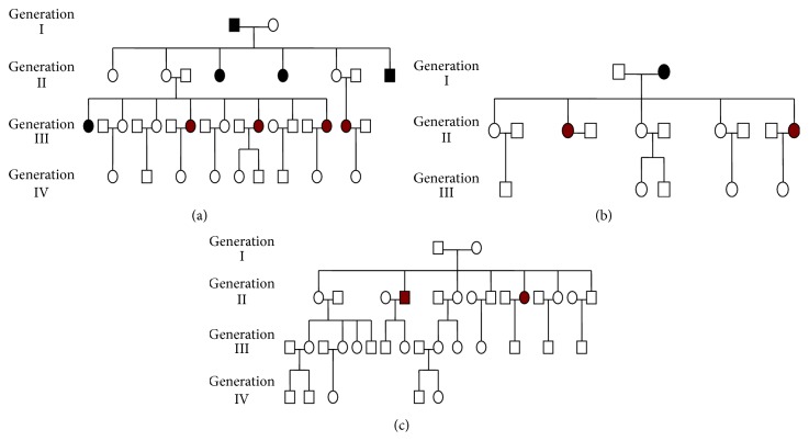 Familial Budd-Chiari Syndrome in China: A Systematic Review of the Literature.