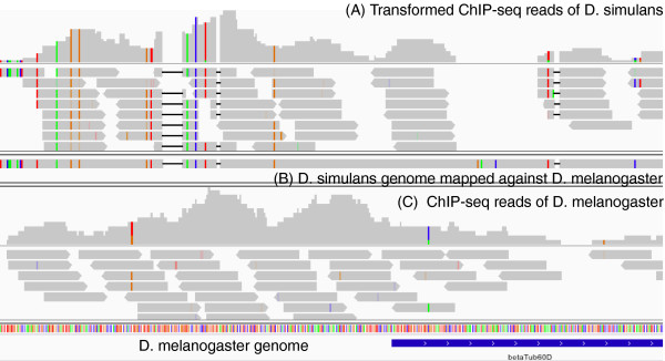 RECOT: a tool for the coordinate transformation of next-generation sequencing reads for comparative genomics and transcriptomics.