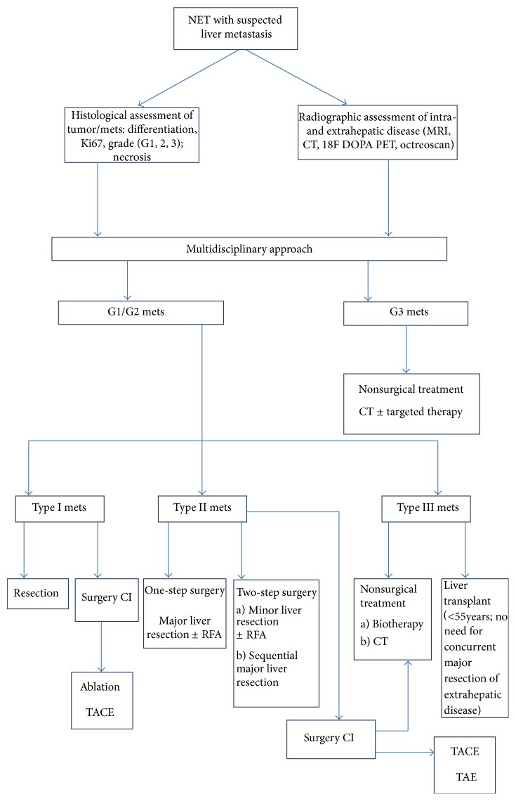 The Treatment of Liver Metastases in Patients with Neuroendocrine Tumors in 2012.