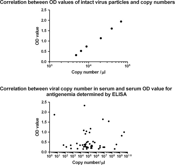 Circulating rotaviral RNA in children with rotavirus antigenemia.