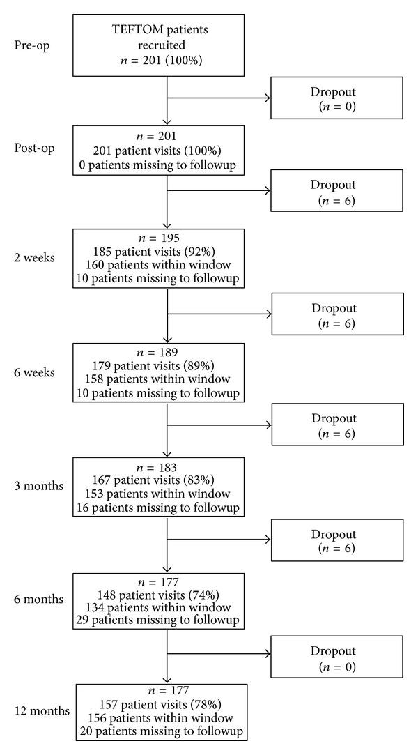 TEFTOM: A Promising General Trauma Expectation/Outcome Measure-Results of a Validation Study on Pan-American Ankle and Distal Tibia Trauma Patients.