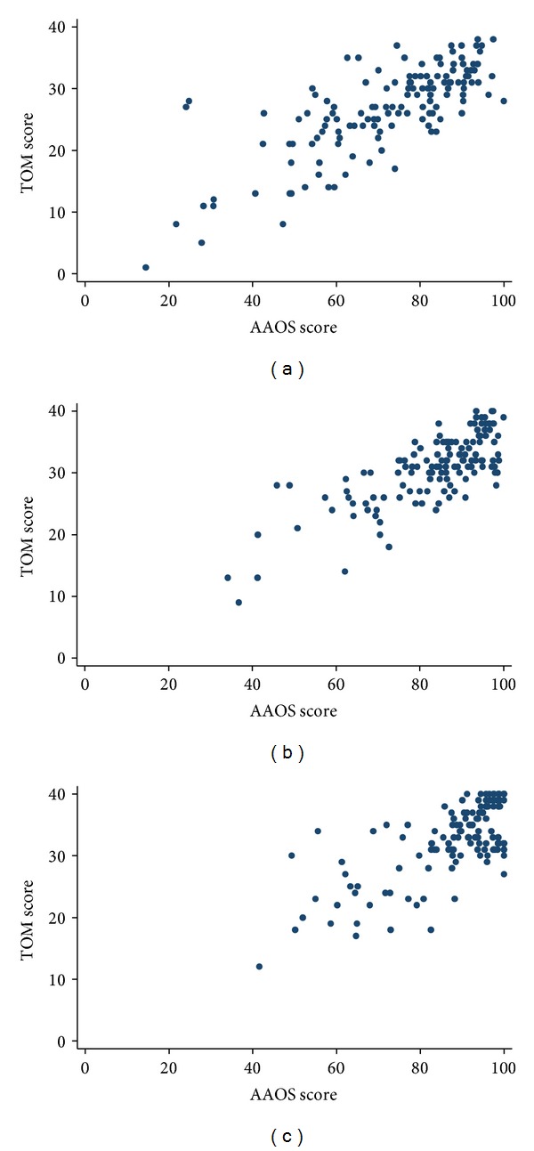 TEFTOM: A Promising General Trauma Expectation/Outcome Measure-Results of a Validation Study on Pan-American Ankle and Distal Tibia Trauma Patients.