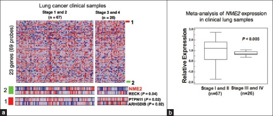 Lung cancer biomarkers: State of the art.