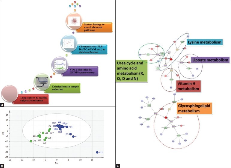 Lung cancer biomarkers: State of the art.