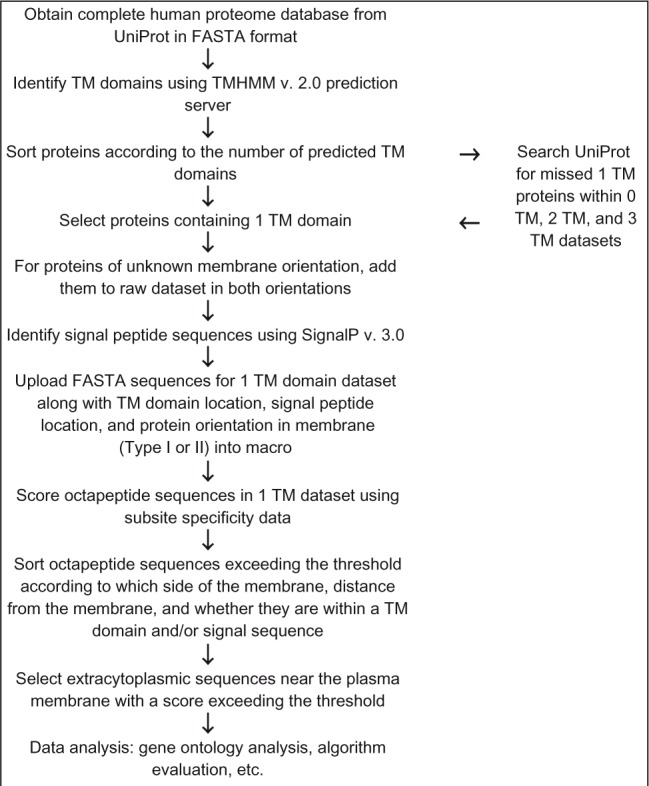 Application of a Bioinformatics-Based Approach to Identify Novel Putative in vivo BACE1 Substrates.