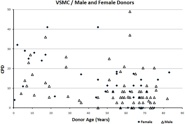 A relationship exists between replicative senescence and cardiovascular health.