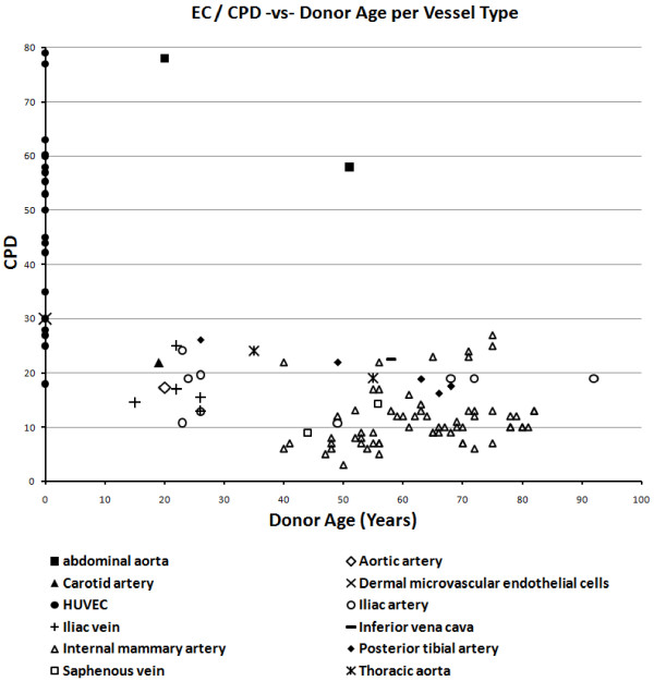 A relationship exists between replicative senescence and cardiovascular health.