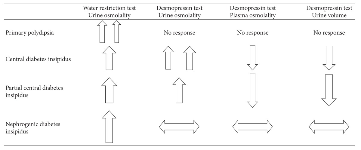 Diabetes insipidus: a challenging diagnosis with new drug therapies.