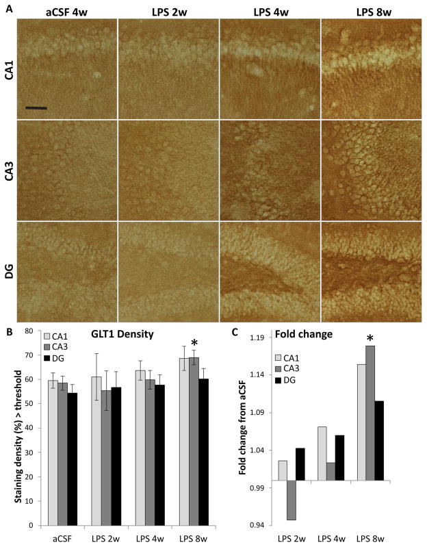 Time-Dependent Compensatory Responses to Chronic Neuroinflammation in Hippocampus and Brainstem: The Potential Role of Glutamate Neurotransmission.