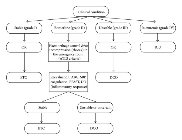 Early Total Care versus Damage Control: Current Concepts in the Orthopedic Care of Polytrauma Patients.