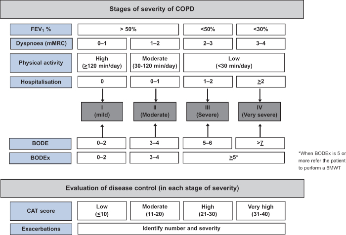 A new approach to grading and treating COPD based on clinical phenotypes: summary of the Spanish COPD guidelines (GesEPOC).