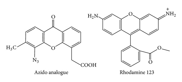 DABCO Catalyzed Synthesis of Xanthene Derivatives in Aqueous Media.